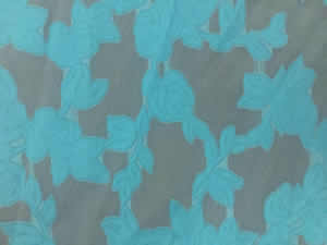 ���ͼƬ�Ŵ�