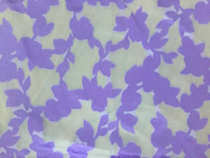 ���ͼƬ�Ŵ�