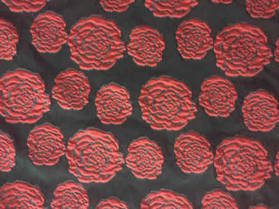 ���ͼƬ�Ŵ�