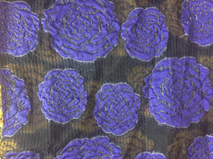 ���ͼƬ�Ŵ�