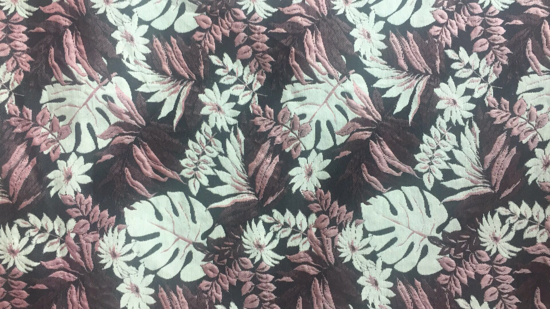 ���ͼƬ�Ŵ�