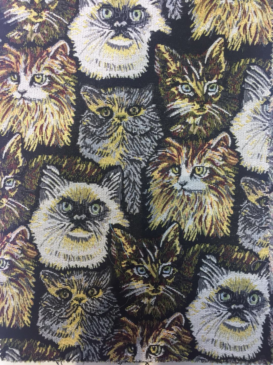 ���ͼƬ�Ŵ�