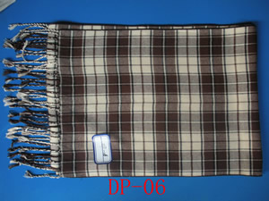 ���ͼƬ�Ŵ�