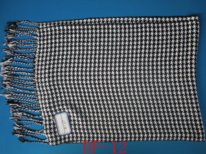 ���ͼƬ�Ŵ�