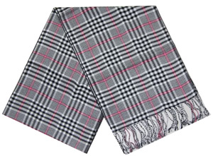 ���ͼƬ�Ŵ�