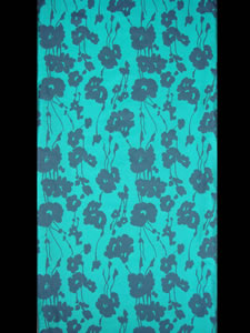 ���ͼƬ�Ŵ�