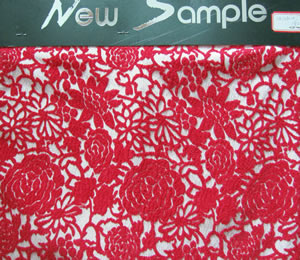 ���ͼƬ�Ŵ�