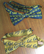 ���ͼƬ�Ŵ�