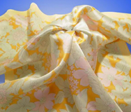 ���ͼƬ�Ŵ�