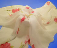 ���ͼƬ�Ŵ�