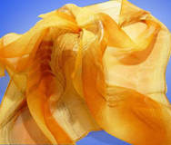 ���ͼƬ�Ŵ�